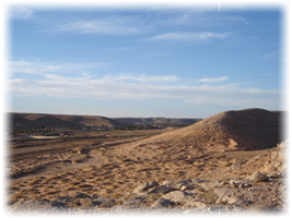 Oued Mzab - Bouchene